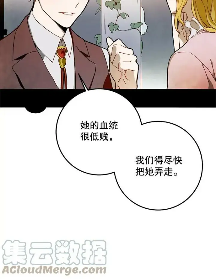 《被嫌弃的私生女》2.陌生的丝绒之城图16