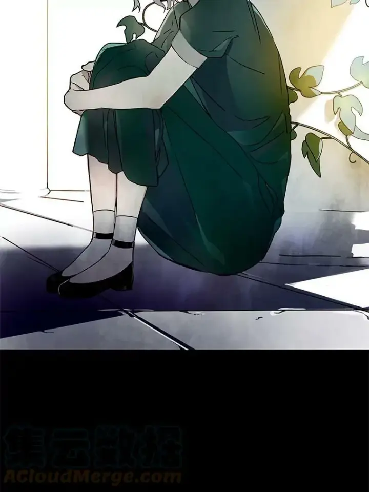 《被嫌弃的私生女》2.陌生的丝绒之城图22