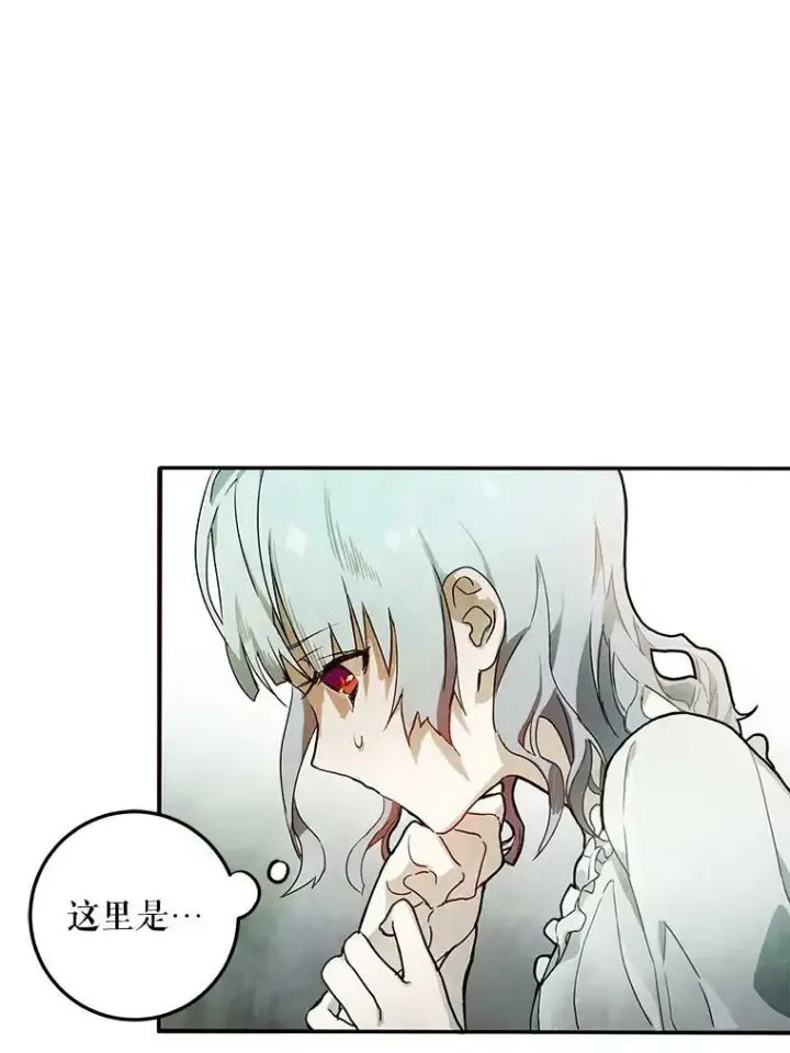 《被嫌弃的私生女》2.陌生的丝绒之城图36