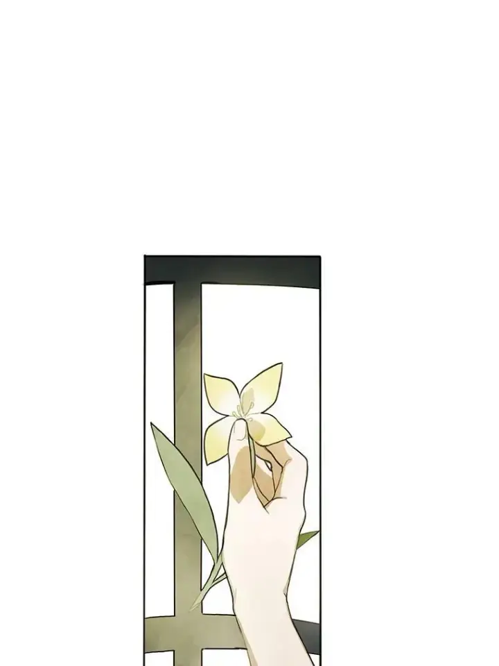 《被嫌弃的私生女》2.陌生的丝绒之城图51