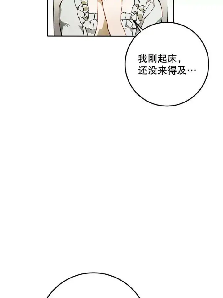 《被嫌弃的私生女》2.陌生的丝绒之城图78