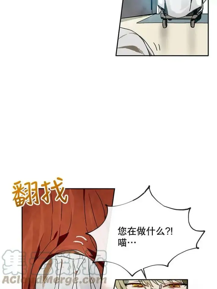 《被嫌弃的私生女》2.陌生的丝绒之城图82