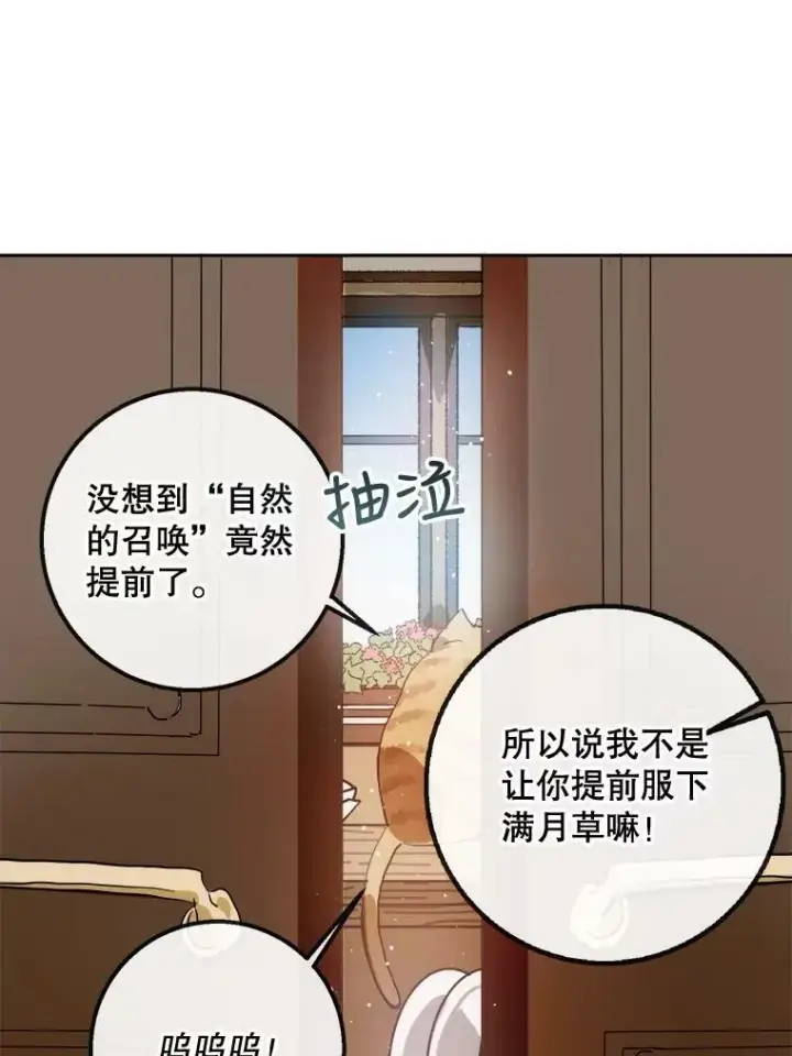 《被嫌弃的私生女》6.安蒂克出丑图20