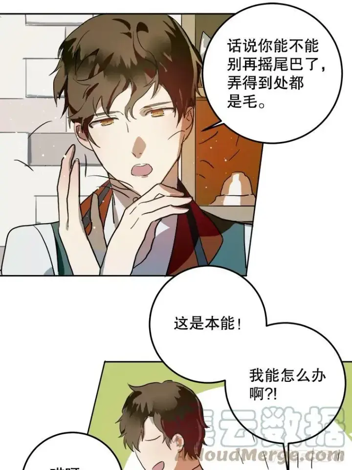 《被嫌弃的私生女》6.安蒂克出丑图31