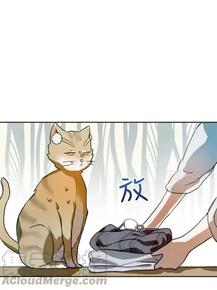 《被嫌弃的私生女》6.安蒂克出丑图40