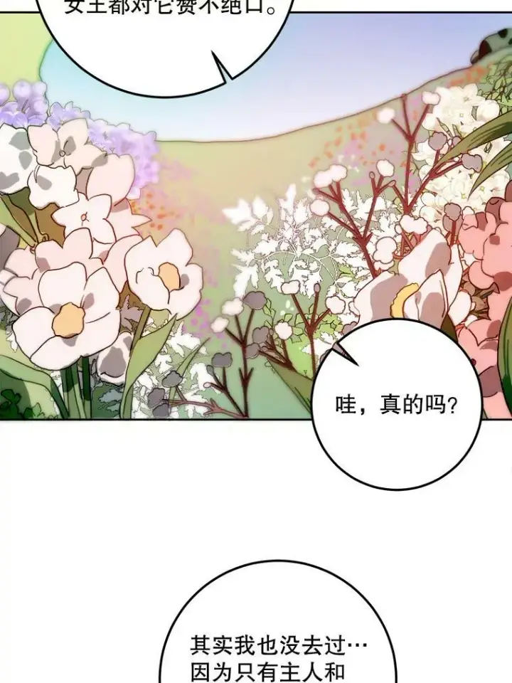 《被嫌弃的私生女》6.安蒂克出丑图57