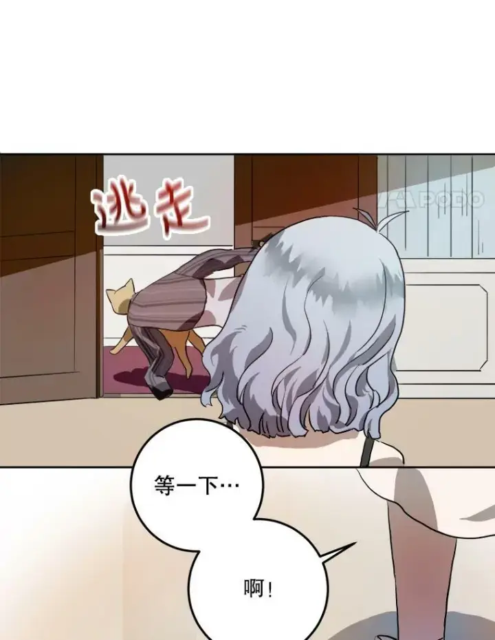 《被嫌弃的私生女》6.安蒂克出丑图8