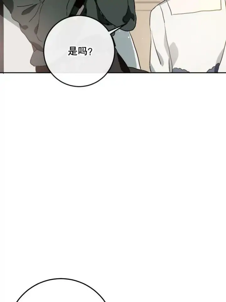 《被嫌弃的私生女》7.温柔的伊德尔图39