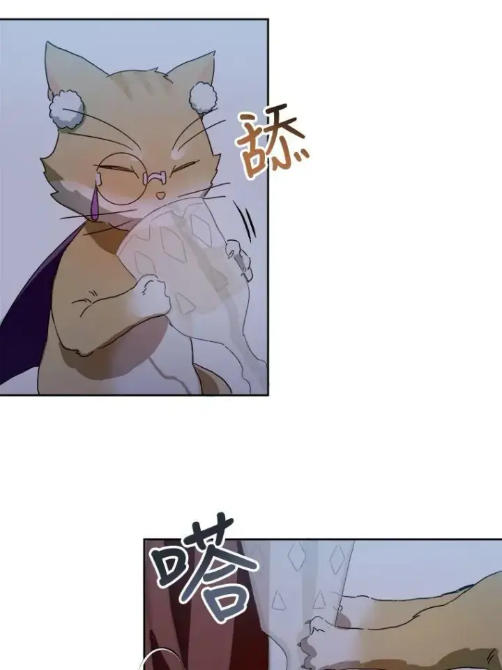 《被嫌弃的私生女》9.和解图36