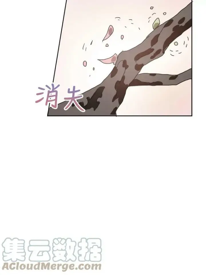《被嫌弃的私生女》10.觉醒图49