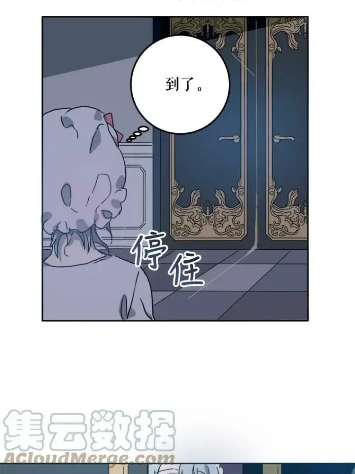 《被嫌弃的私生女》11.特别的孩子图46