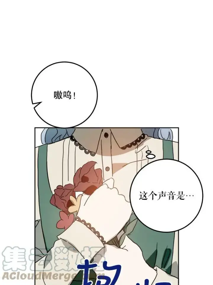 《被嫌弃的私生女》12.复仇了就会幸福吗？图67