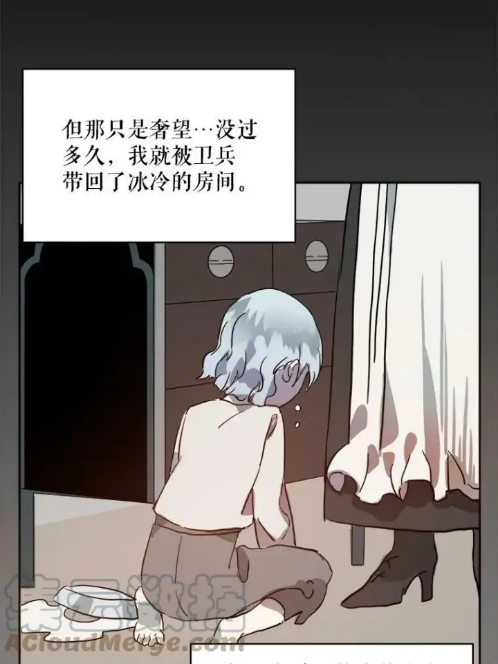 《被嫌弃的私生女》16.蓝宝石项链图22