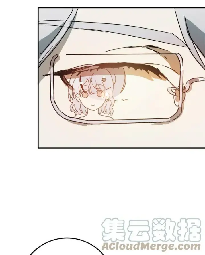 《被嫌弃的私生女》17.往事图10