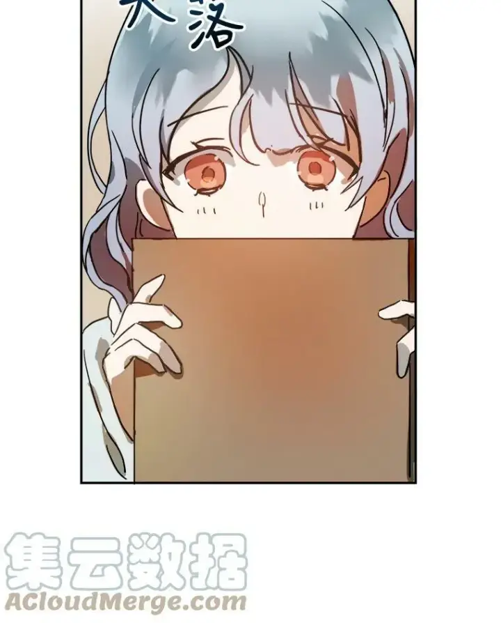 《被嫌弃的私生女》17.往事图13
