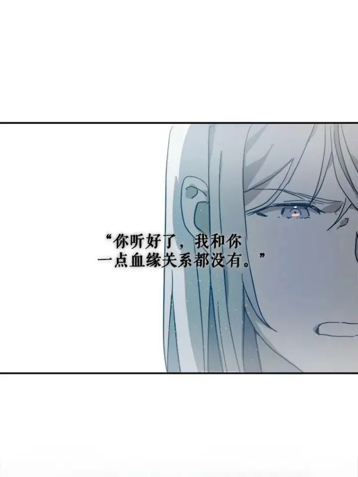 《被嫌弃的私生女》17.往事图18