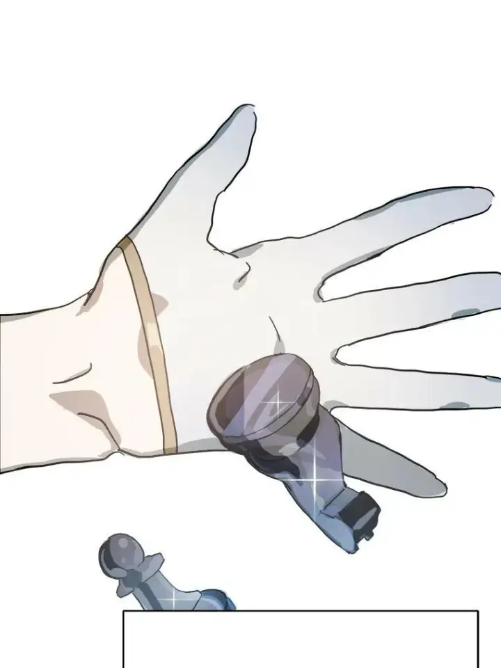 《被嫌弃的私生女》17.往事图33
