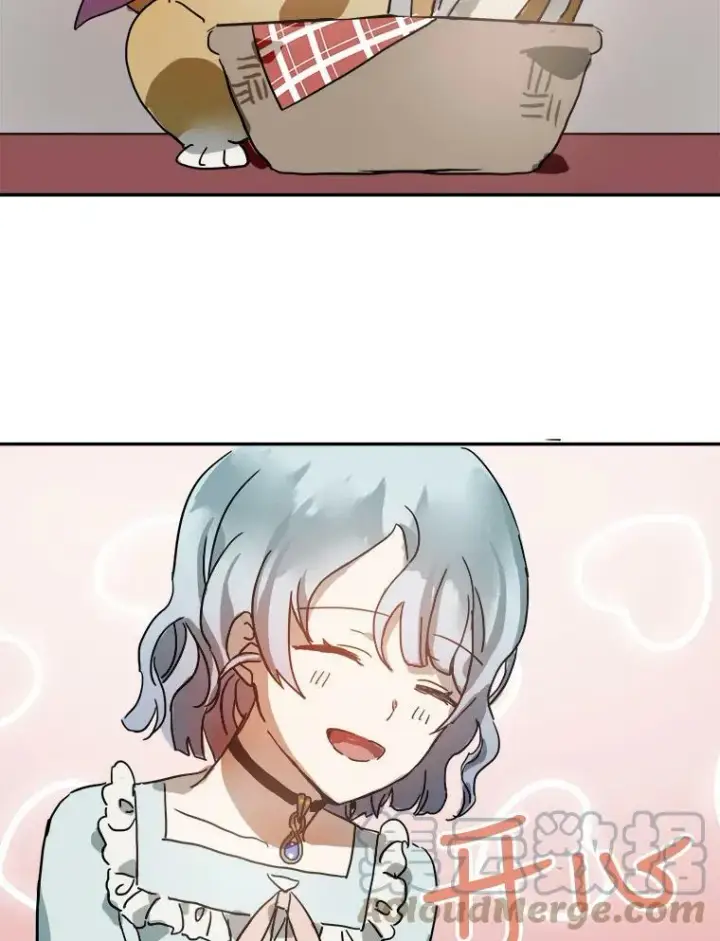 《被嫌弃的私生女》17.往事图85