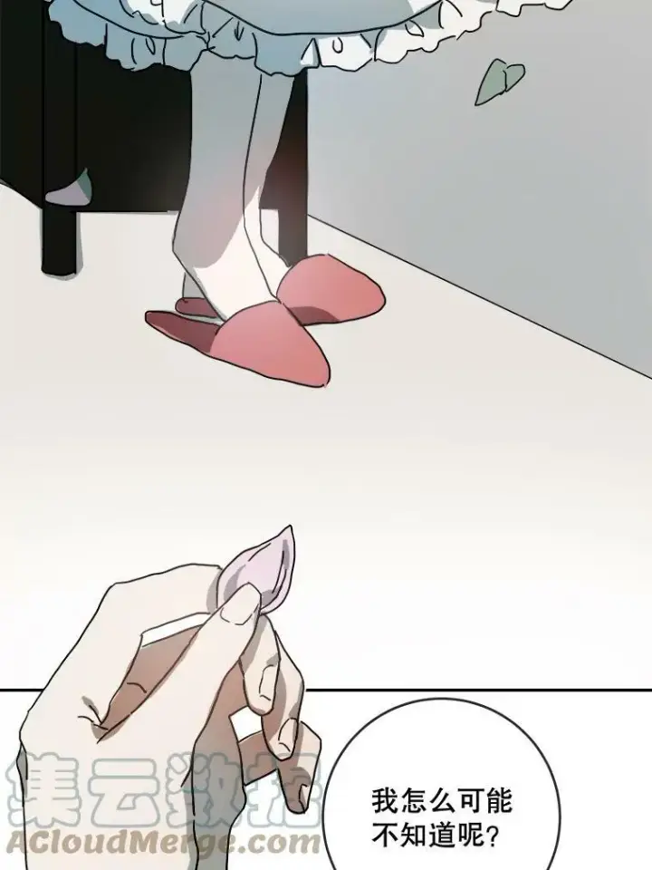 《被嫌弃的私生女》20.公主一定会爱上王子图58