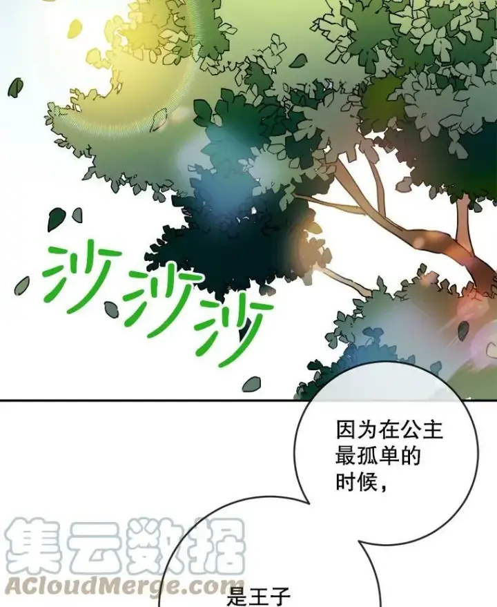 《被嫌弃的私生女》20.公主一定会爱上王子图79