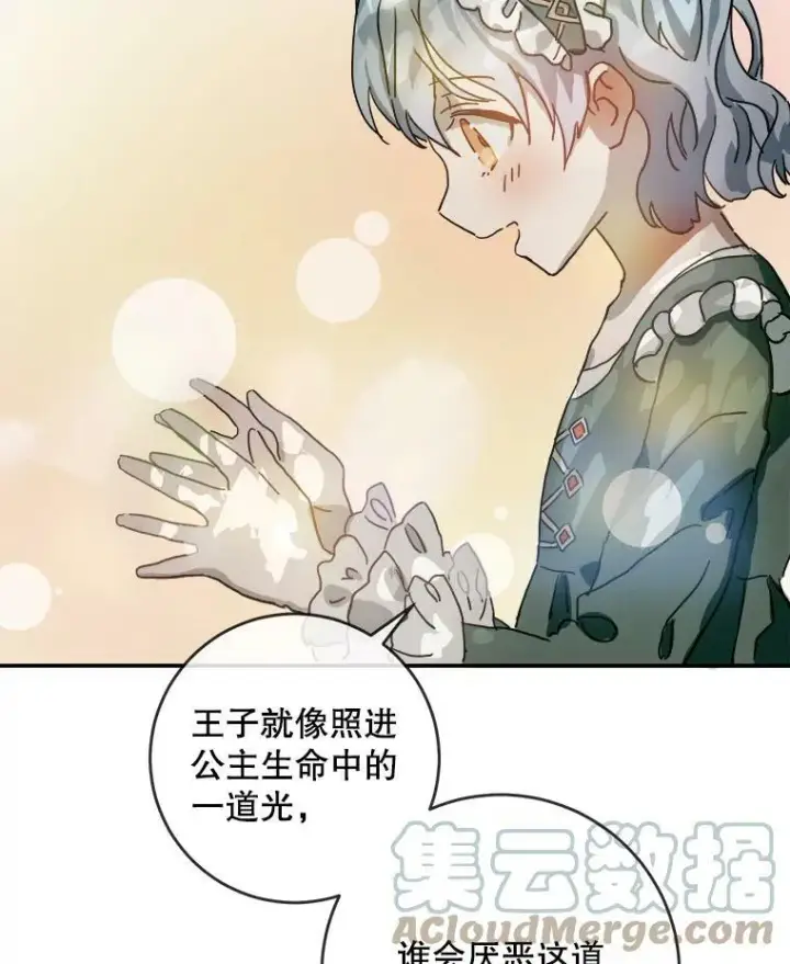 《被嫌弃的私生女》20.公主一定会爱上王子图82
