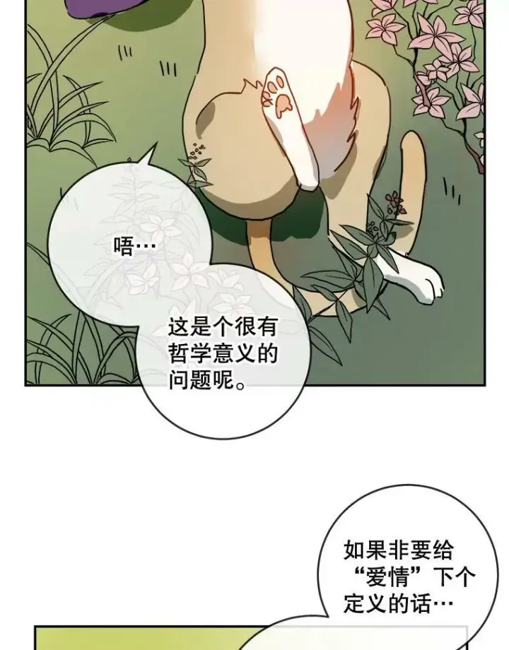 《被嫌弃的私生女》21.无法描述的情感图12