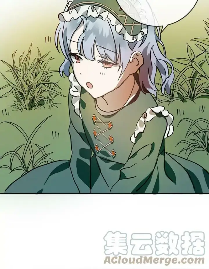 《被嫌弃的私生女》21.无法描述的情感图16