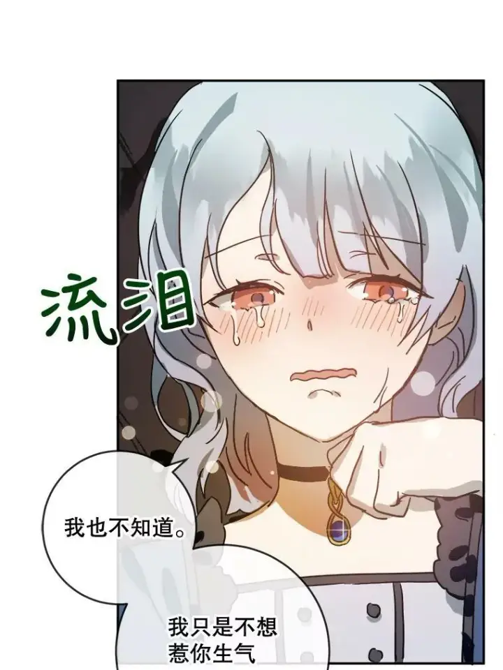 《被嫌弃的私生女》22.要回塔拉图74