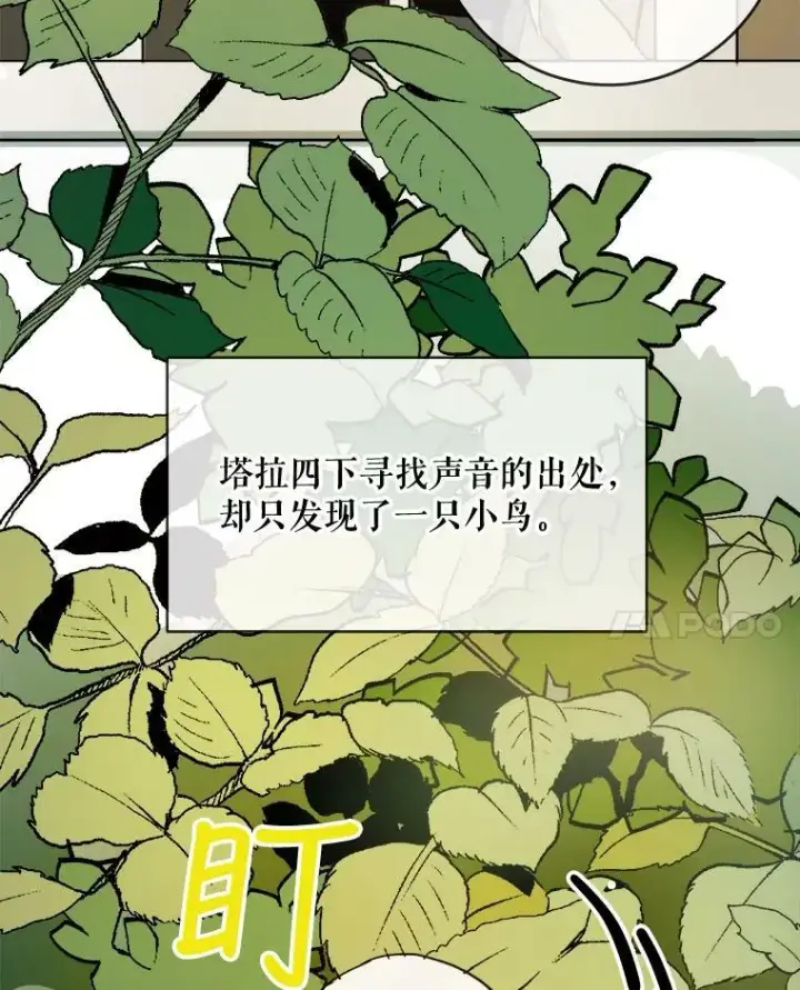 《被嫌弃的私生女》23.会说话的小鸟图15