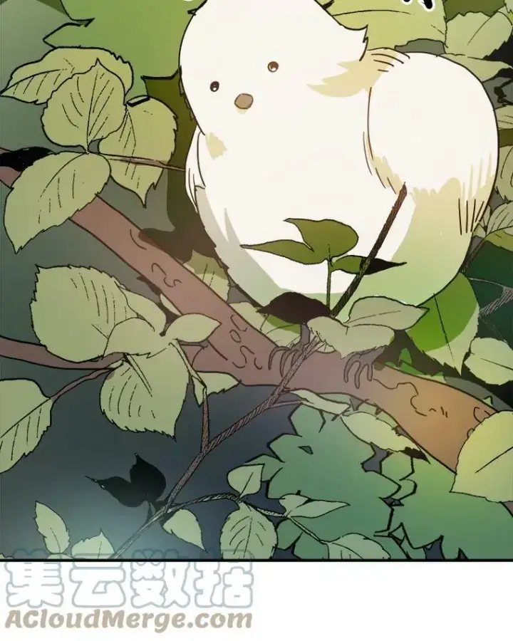 《被嫌弃的私生女》23.会说话的小鸟图16