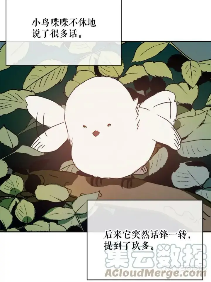 《被嫌弃的私生女》23.会说话的小鸟图34