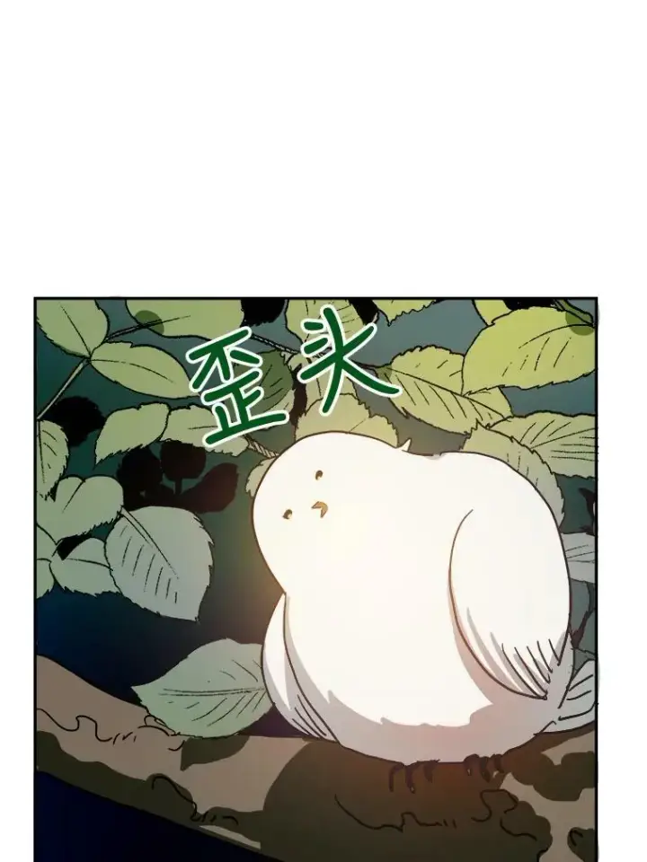 《被嫌弃的私生女》23.会说话的小鸟图42