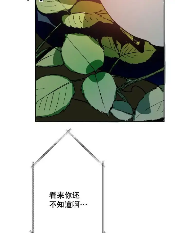 《被嫌弃的私生女》23.会说话的小鸟图45