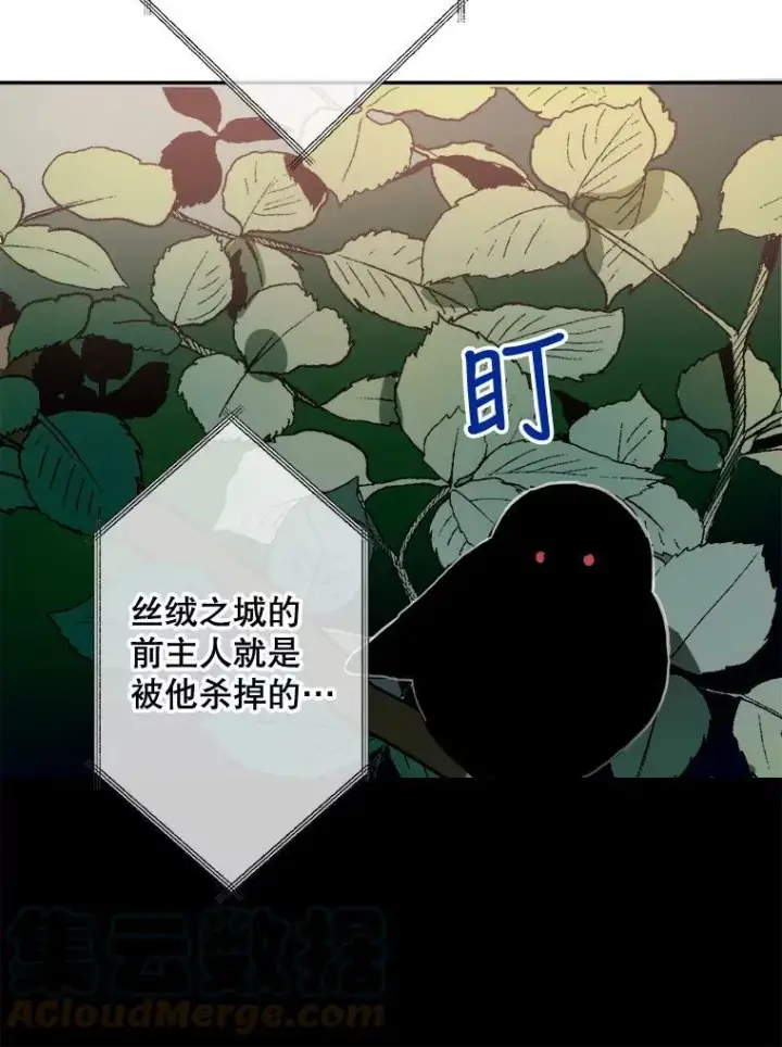 《被嫌弃的私生女》23.会说话的小鸟图46