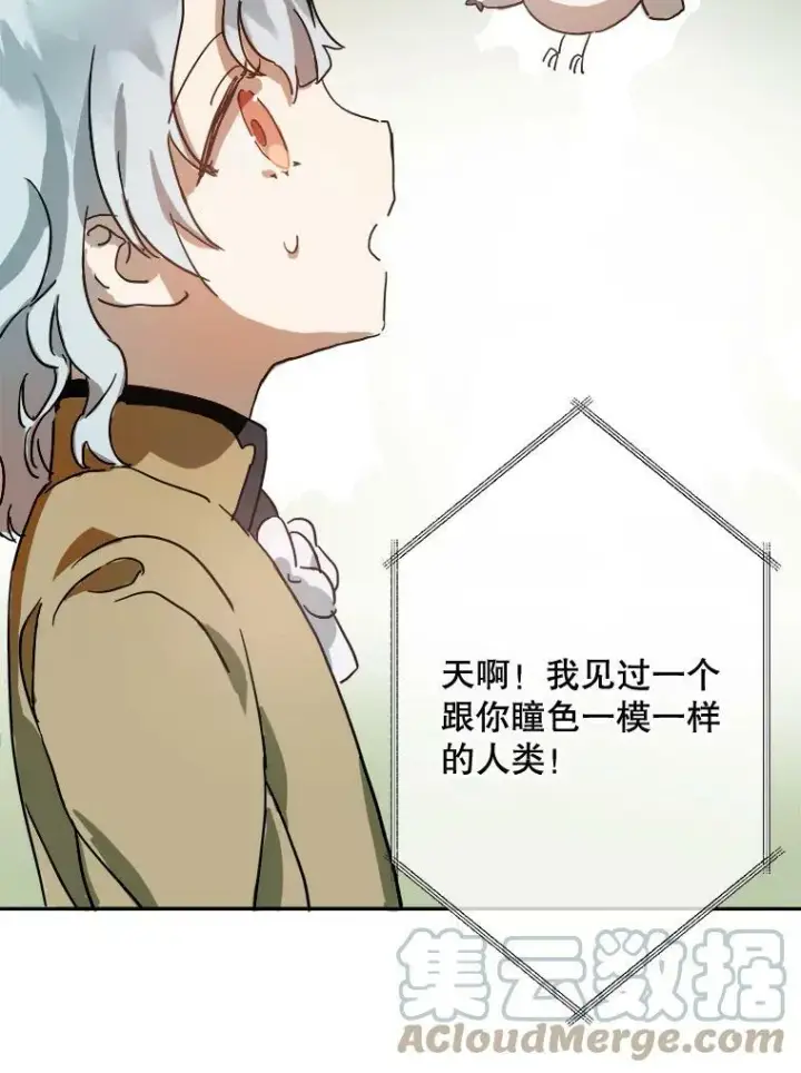 《被嫌弃的私生女》23.会说话的小鸟图61