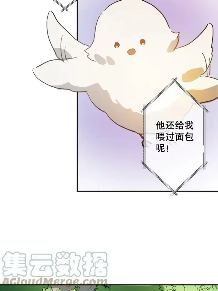 《被嫌弃的私生女》23.会说话的小鸟图64