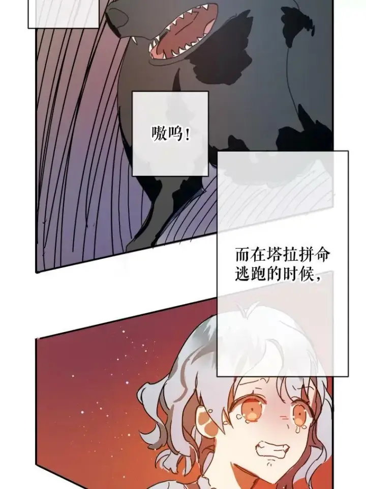 《被嫌弃的私生女》26.往事图35