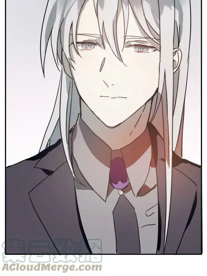 《被嫌弃的私生女》26.往事图52