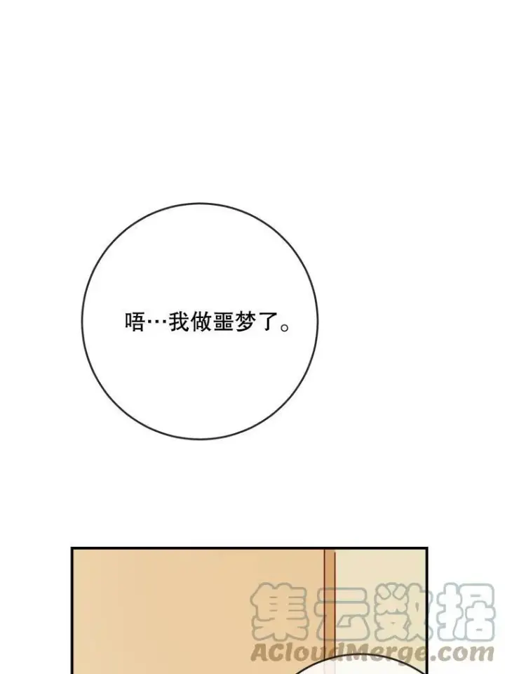 《被嫌弃的私生女》26.往事图64