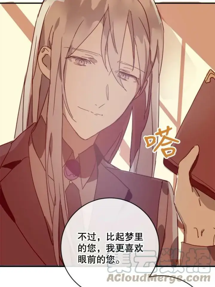 《被嫌弃的私生女》26.往事图70