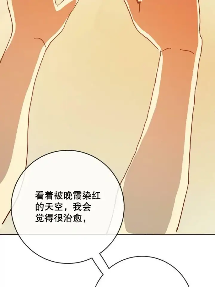《被嫌弃的私生女》27.夕阳图20