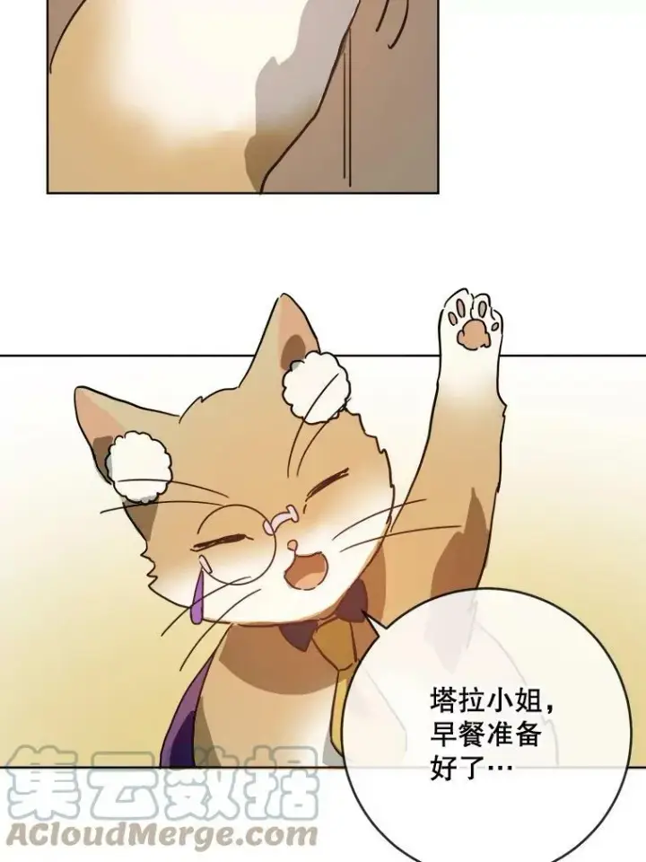 《被嫌弃的私生女》27.夕阳图46