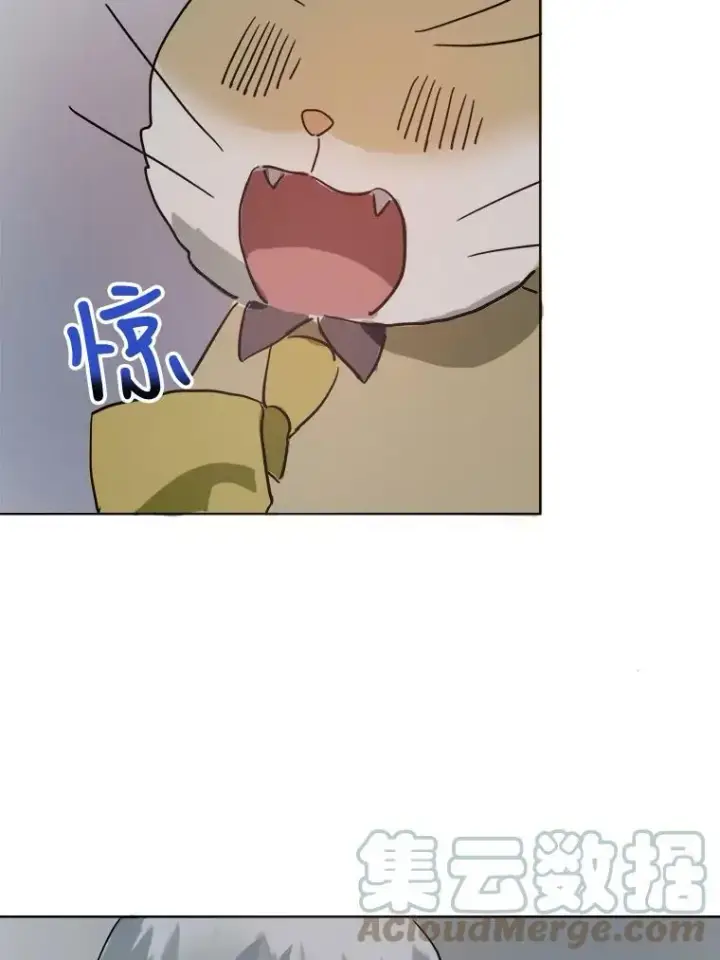 《被嫌弃的私生女》27.夕阳图49