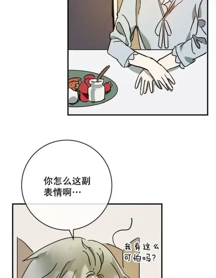 《被嫌弃的私生女》28.对伊德尔的误会图12