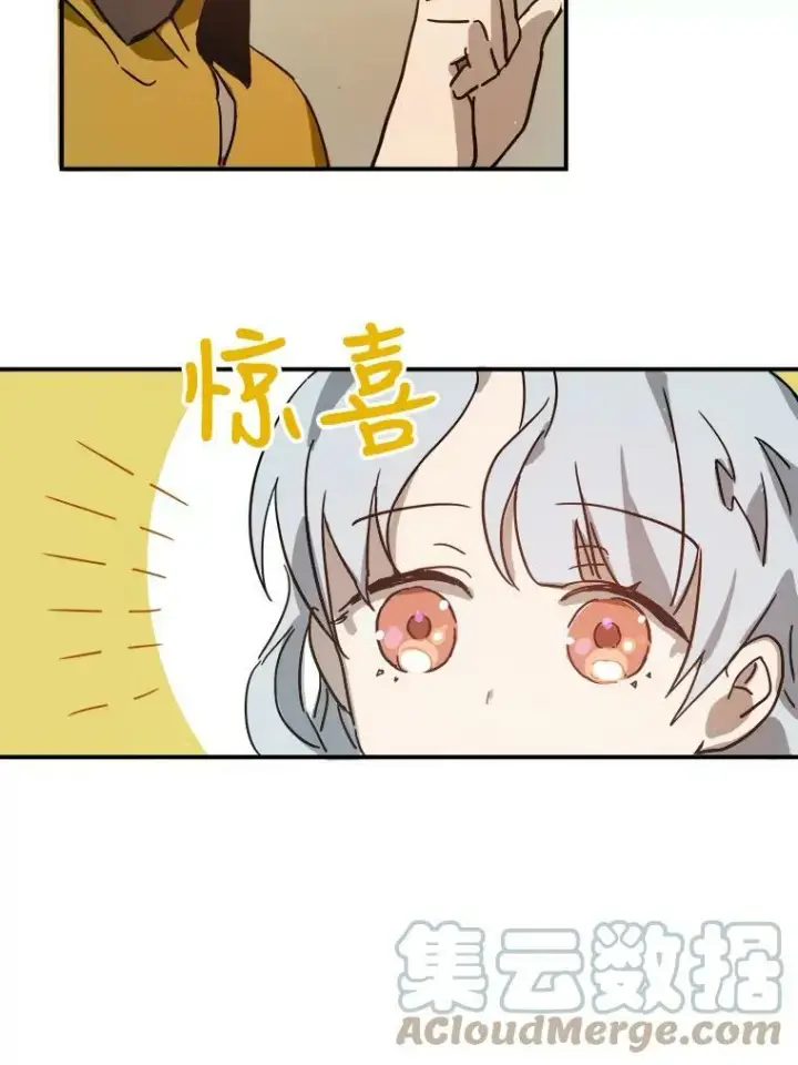 《被嫌弃的私生女》28.对伊德尔的误会图19
