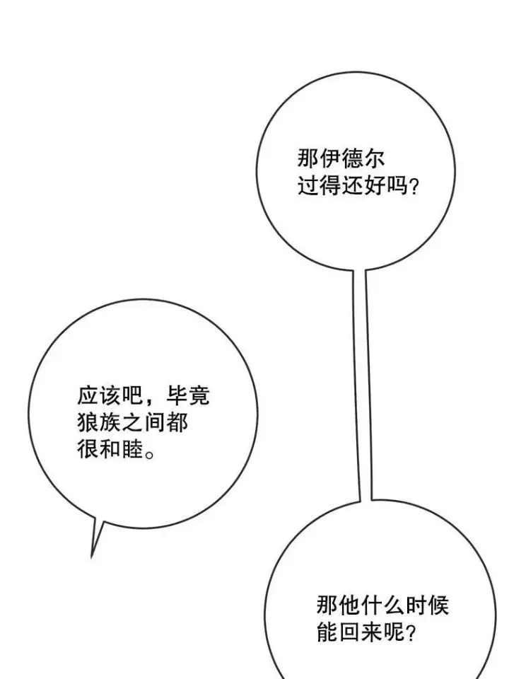 《被嫌弃的私生女》28.对伊德尔的误会图20
