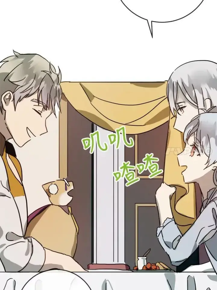 《被嫌弃的私生女》28.对伊德尔的误会图21