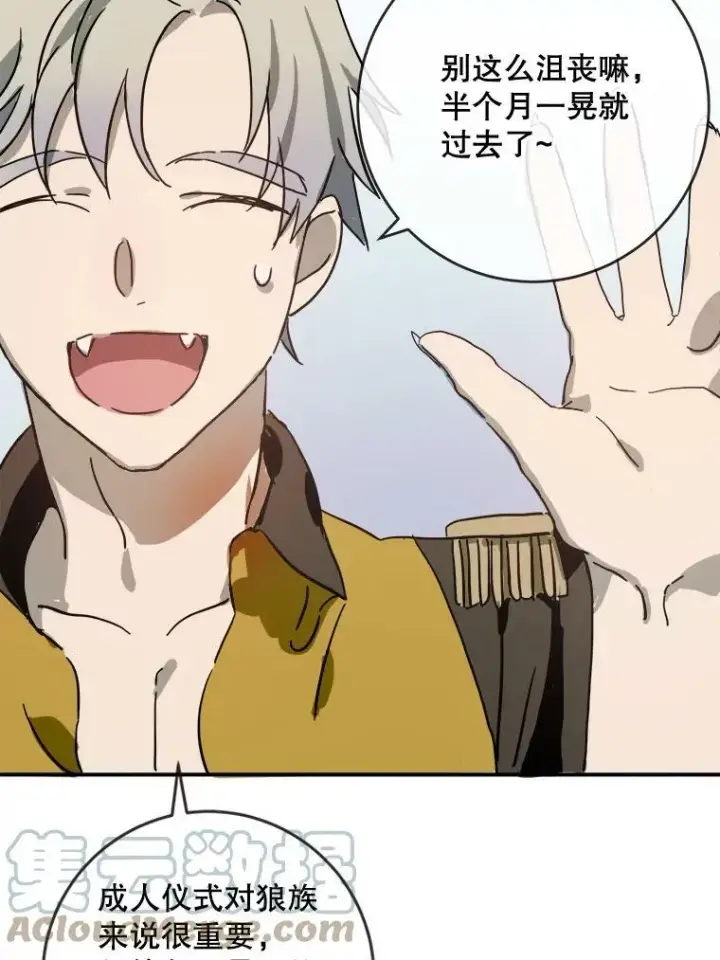《被嫌弃的私生女》28.对伊德尔的误会图25