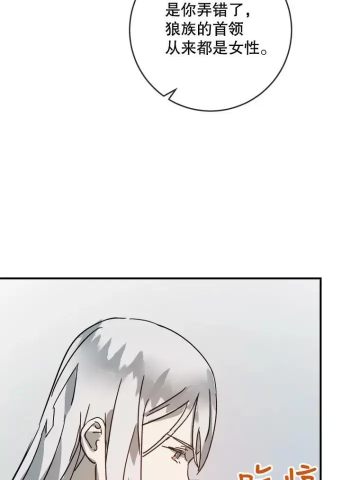 《被嫌弃的私生女》28.对伊德尔的误会图30