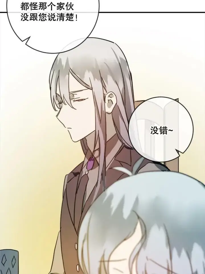 《被嫌弃的私生女》28.对伊德尔的误会图39